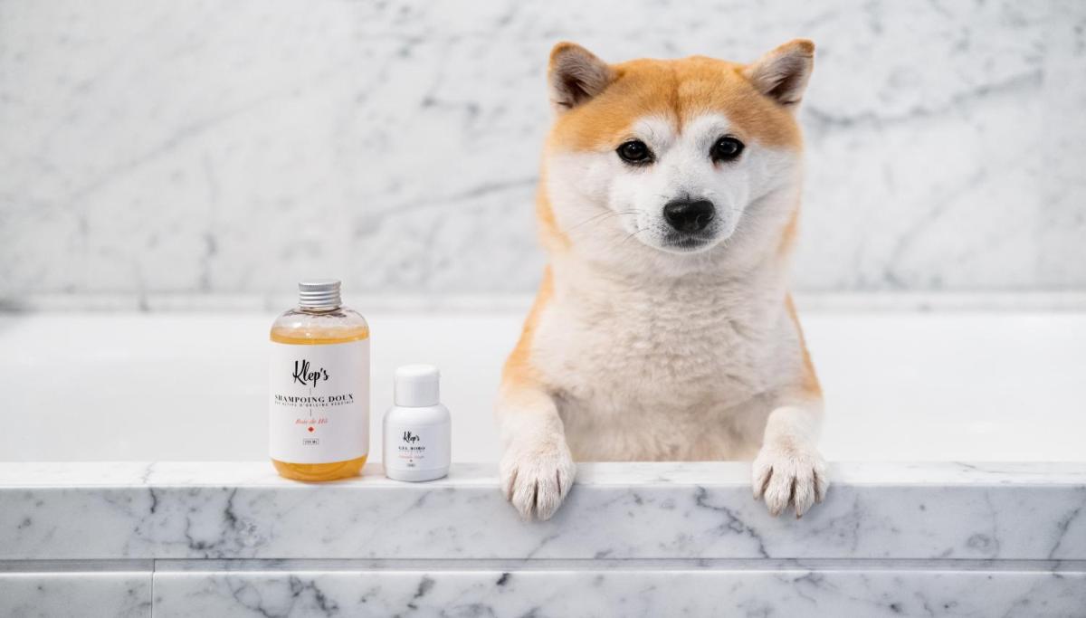 Animal ou animaux domestique(s) séjournant avec des clients dans l'établissement Kimpton - St Honoré Paris by IHG