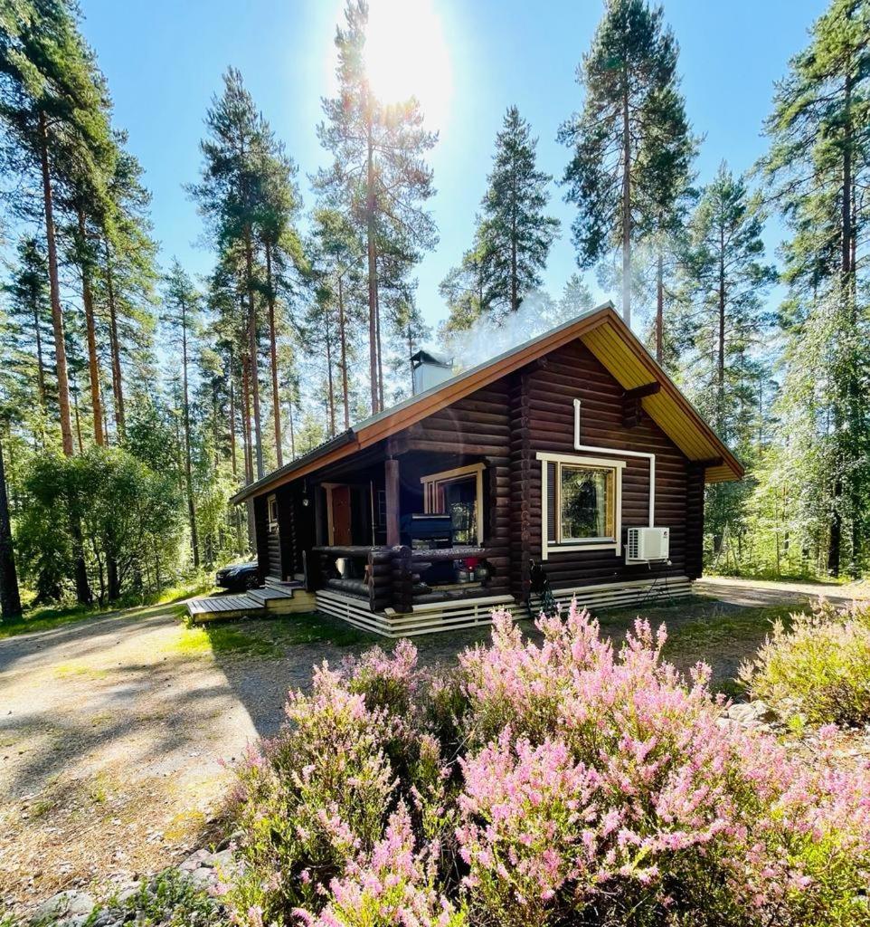 Mökki järven rannalla mäntymetsässä - Housity