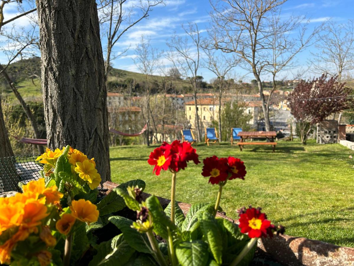 Appartamento Bellavista - Housity