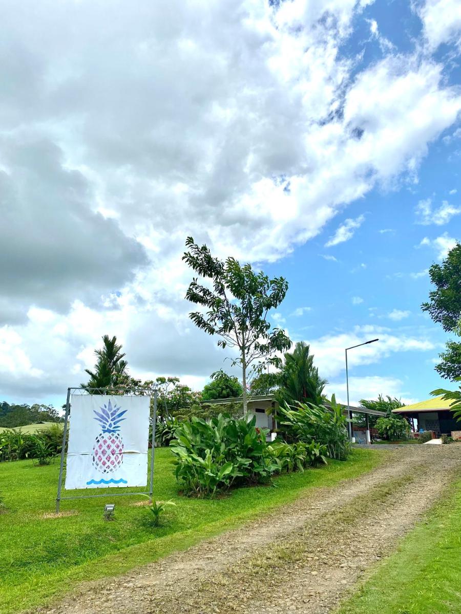 La Piña, Rio Celeste - Housity
