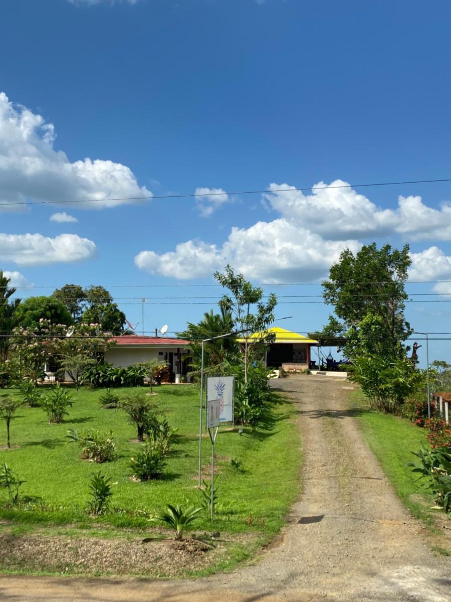 La Piña, Rio Celeste - Housity
