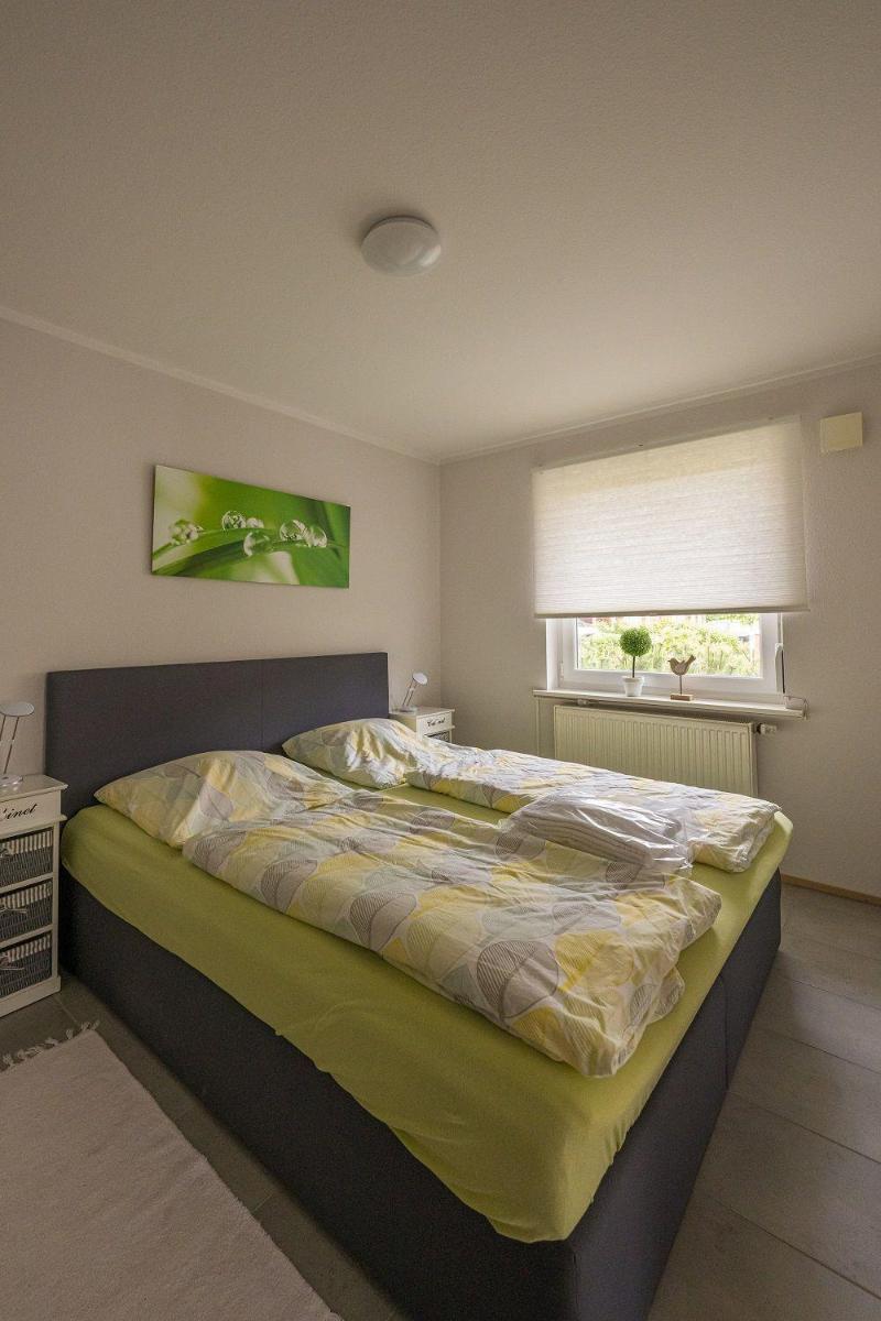 Nordlicht-Panten - Housity