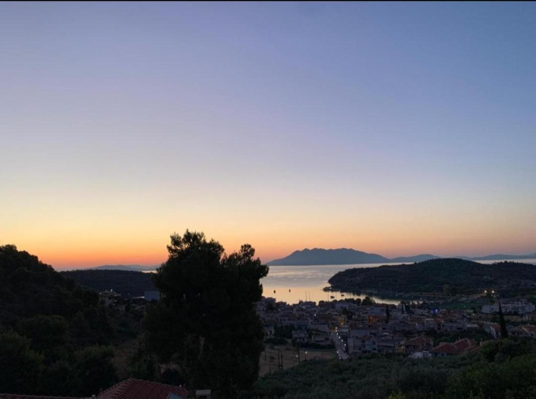 Nera's view - Housity