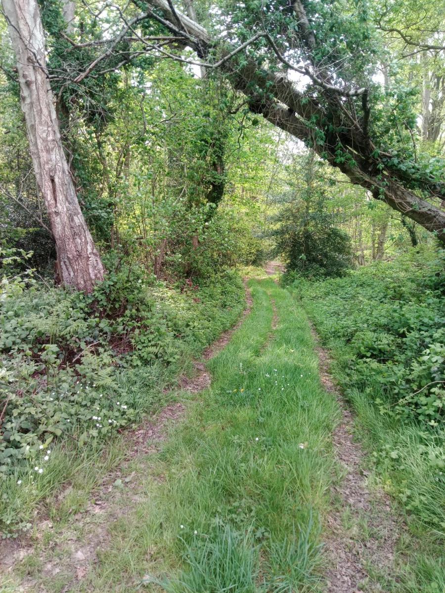 Suitetrails - Source AUGER