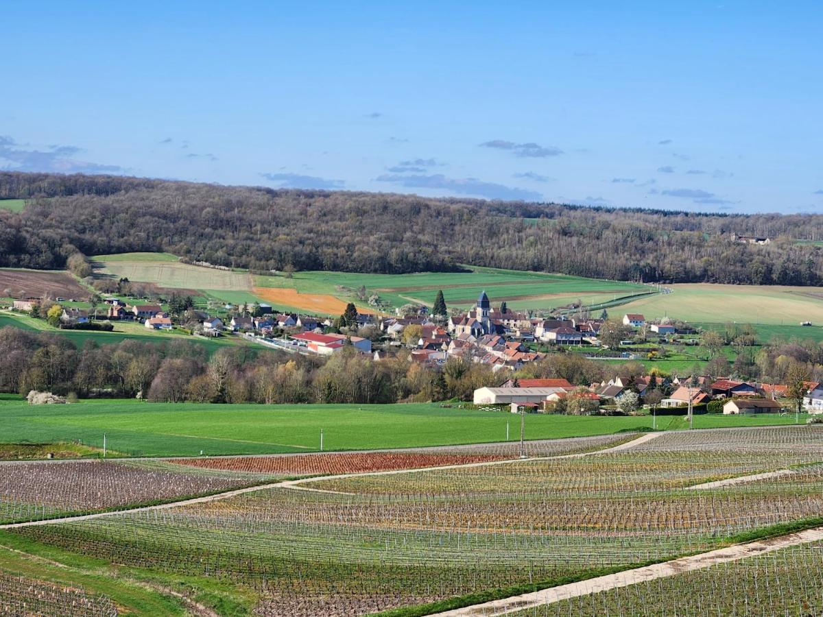 Maison de campagne dans le vignoble champenois - Housity
