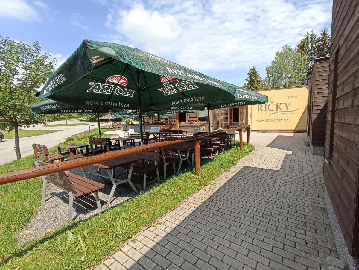 Skiapartma - Říčky v Orlických horách - Housity