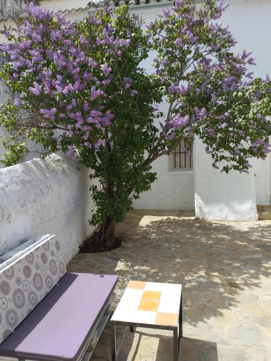 Casa Béjar, Tranquila casa con chimenea, patios, junto a la piscina - Housity
