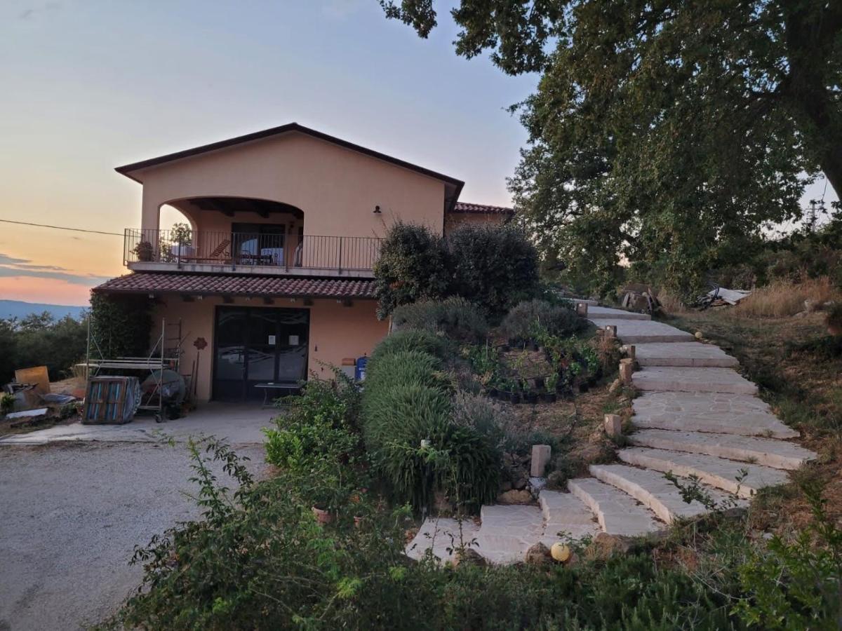 La Residenza di Campagna - Housity