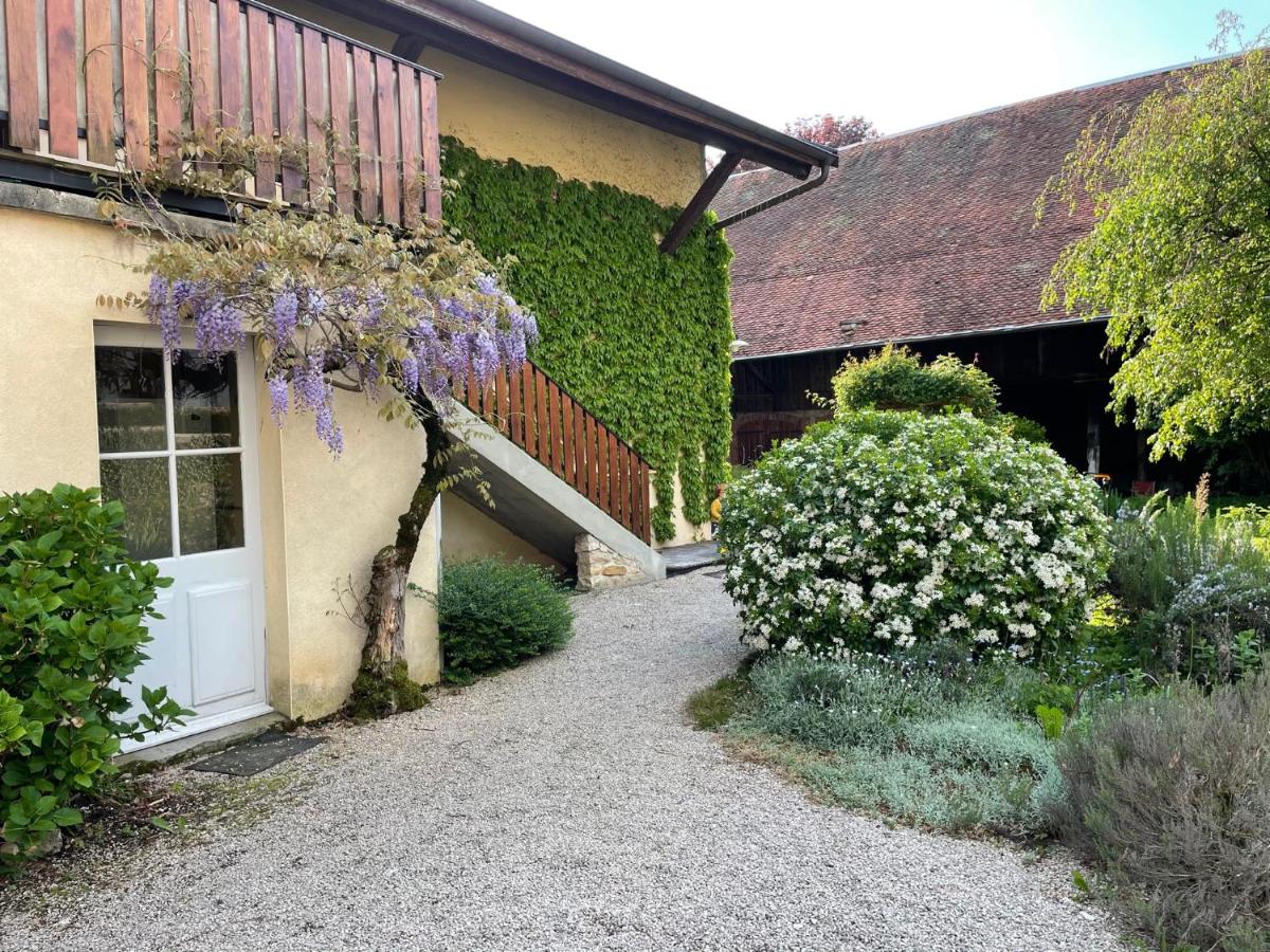 Suitetrails - La Diligence, gîte de caractère au cœur d'Arbois