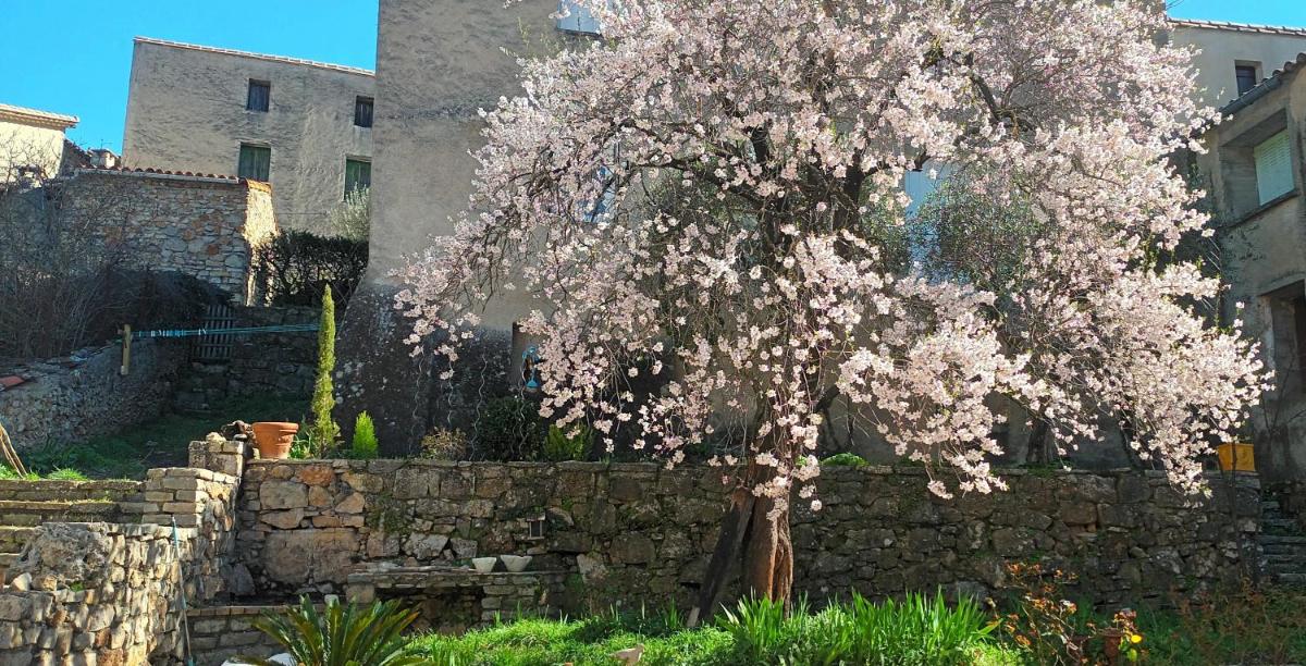 maison MON REVE - Housity