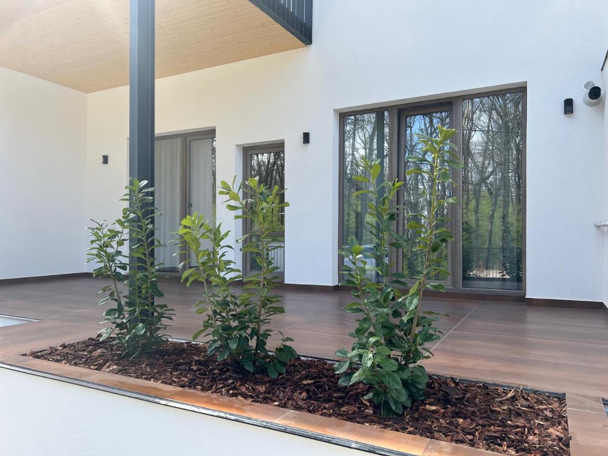 Forest Boutique - Housity