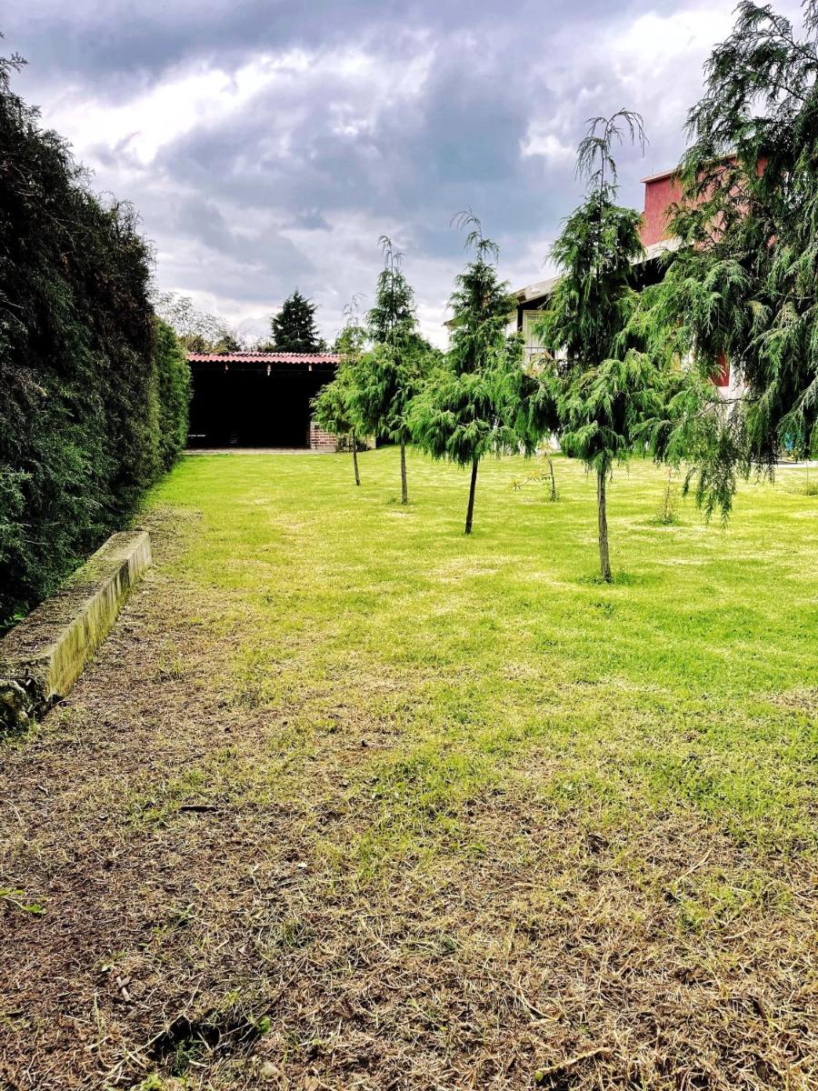 Floresta Casa de Campo - Housity
