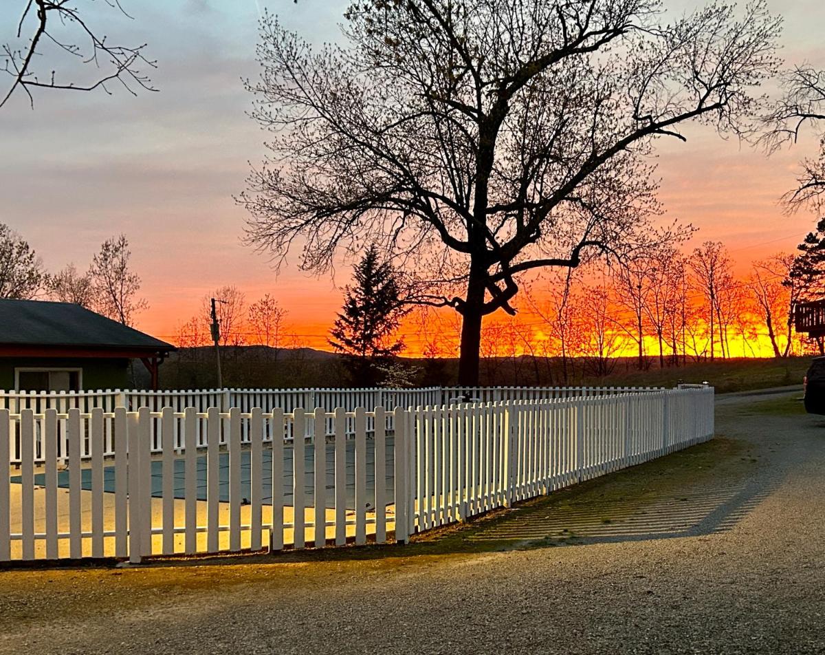 Driftwood Resort Bull Shoals - Housity