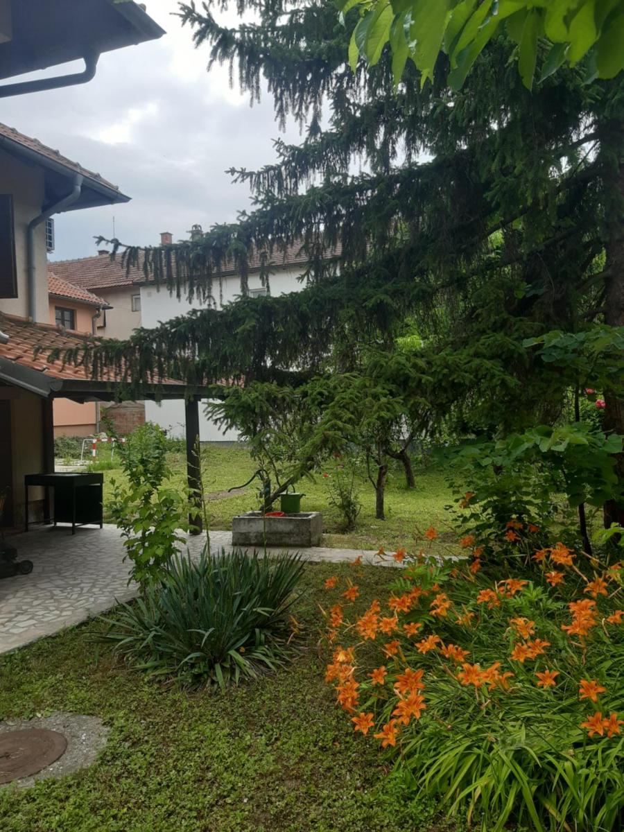 Kuca za odmor Cveta Despotovac - Housity