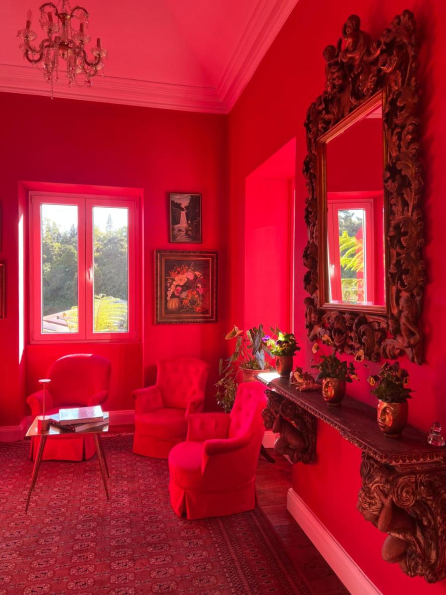 Villa Camélia Boutique House - Housity