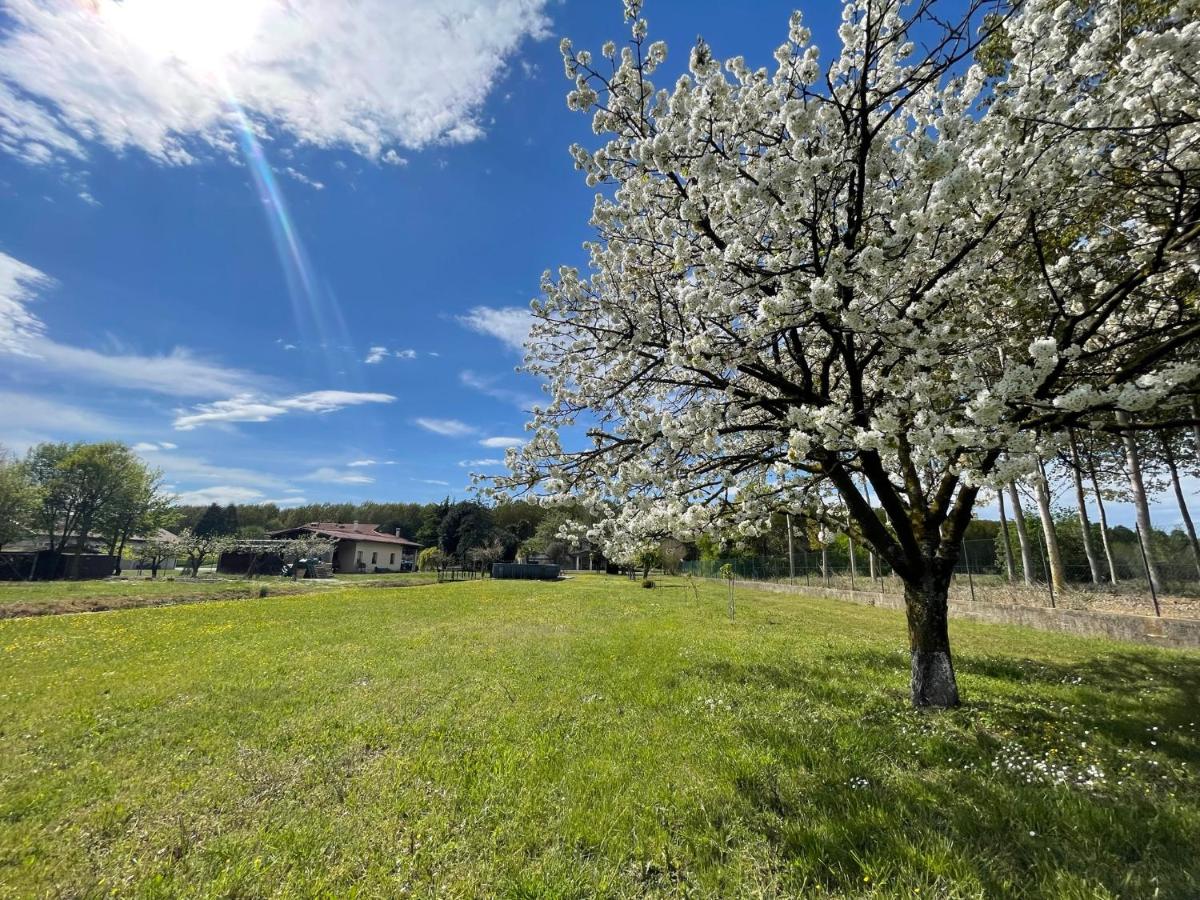Suitetrails - B&B Da Leone