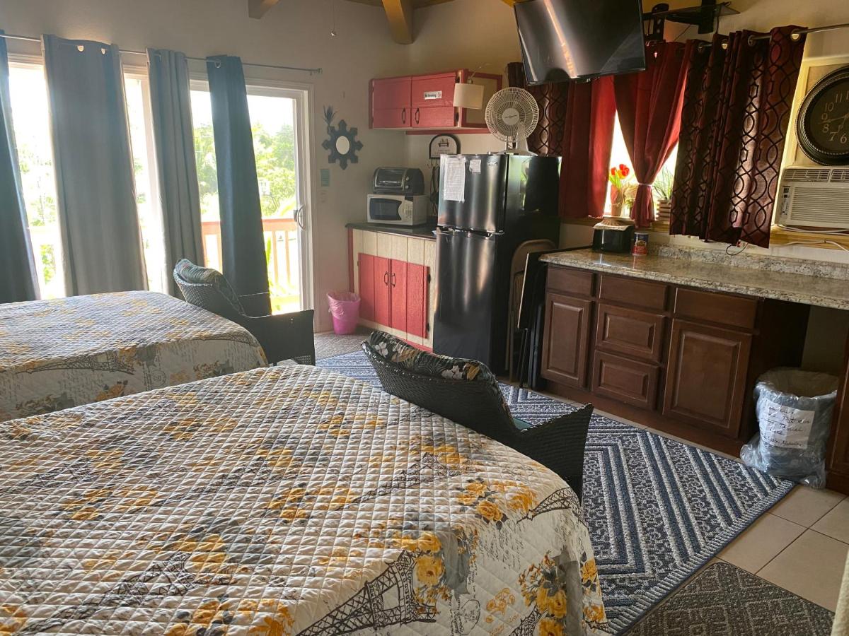 Nice Studio w/ AC near Kehena Beach and lava fields - Housity