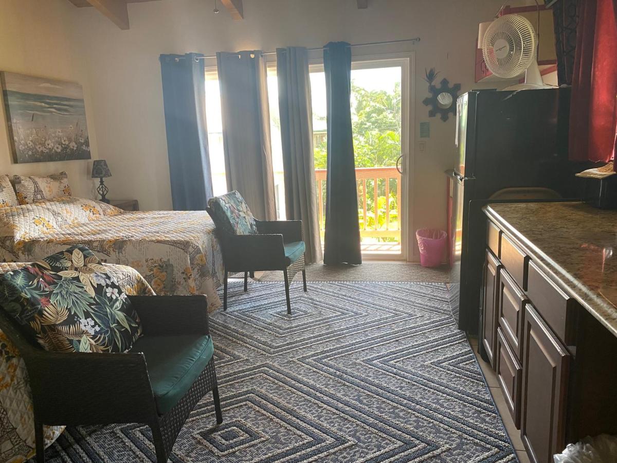 Nice Studio w/ AC near Kehena Beach and lava fields - Housity
