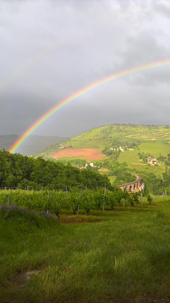 grange rénovée en pleine nature - Housity