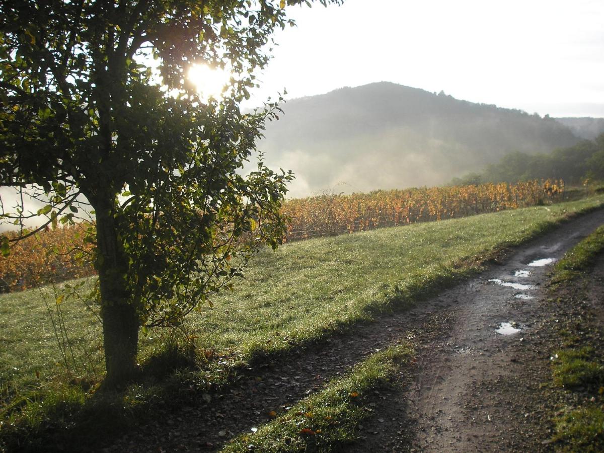 grange rénovée en pleine nature - Housity
