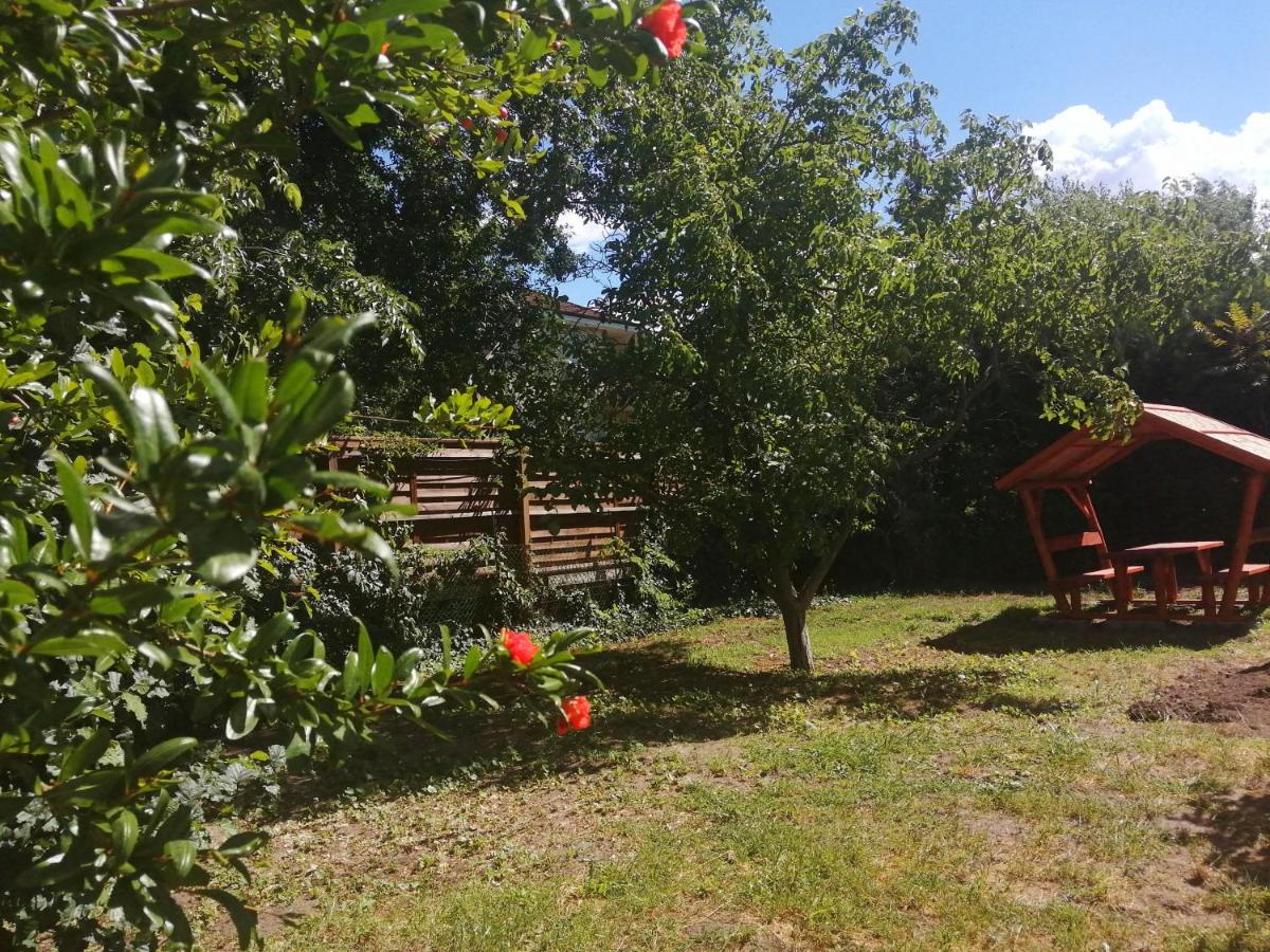 Rákos-patak Family House - Housity