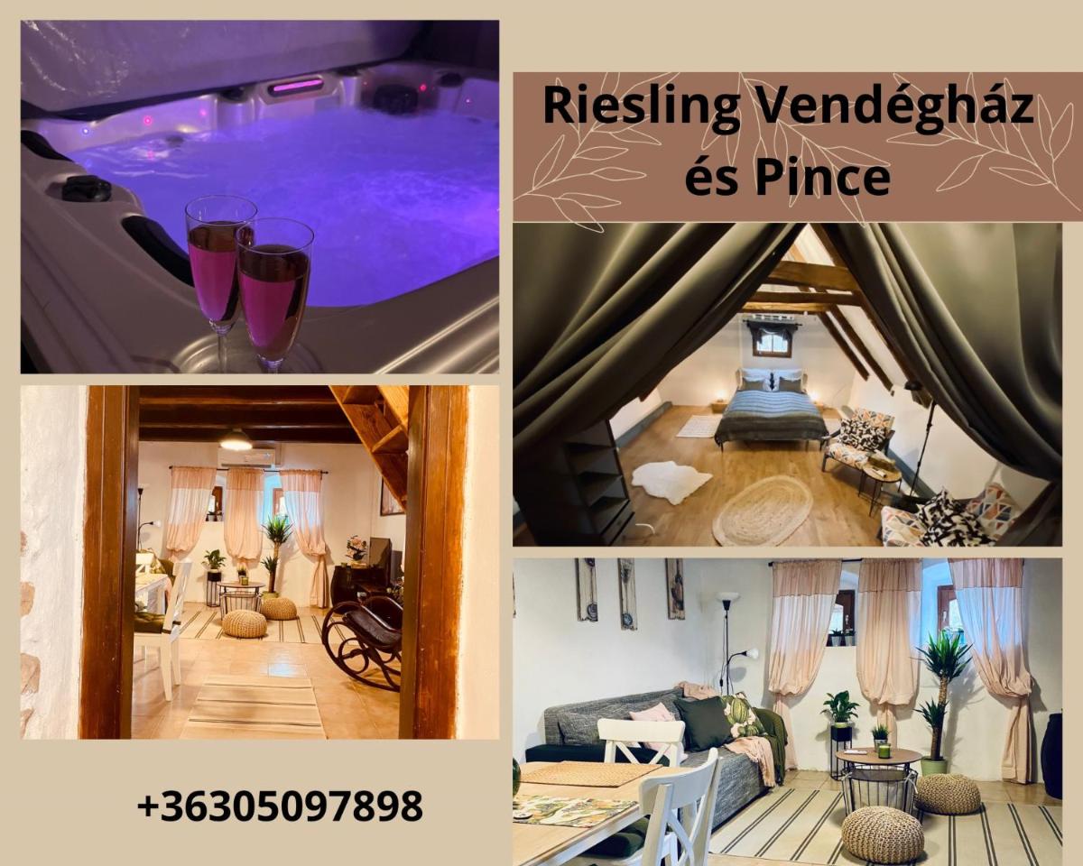 Riesling Vendégház és Pince - Housity