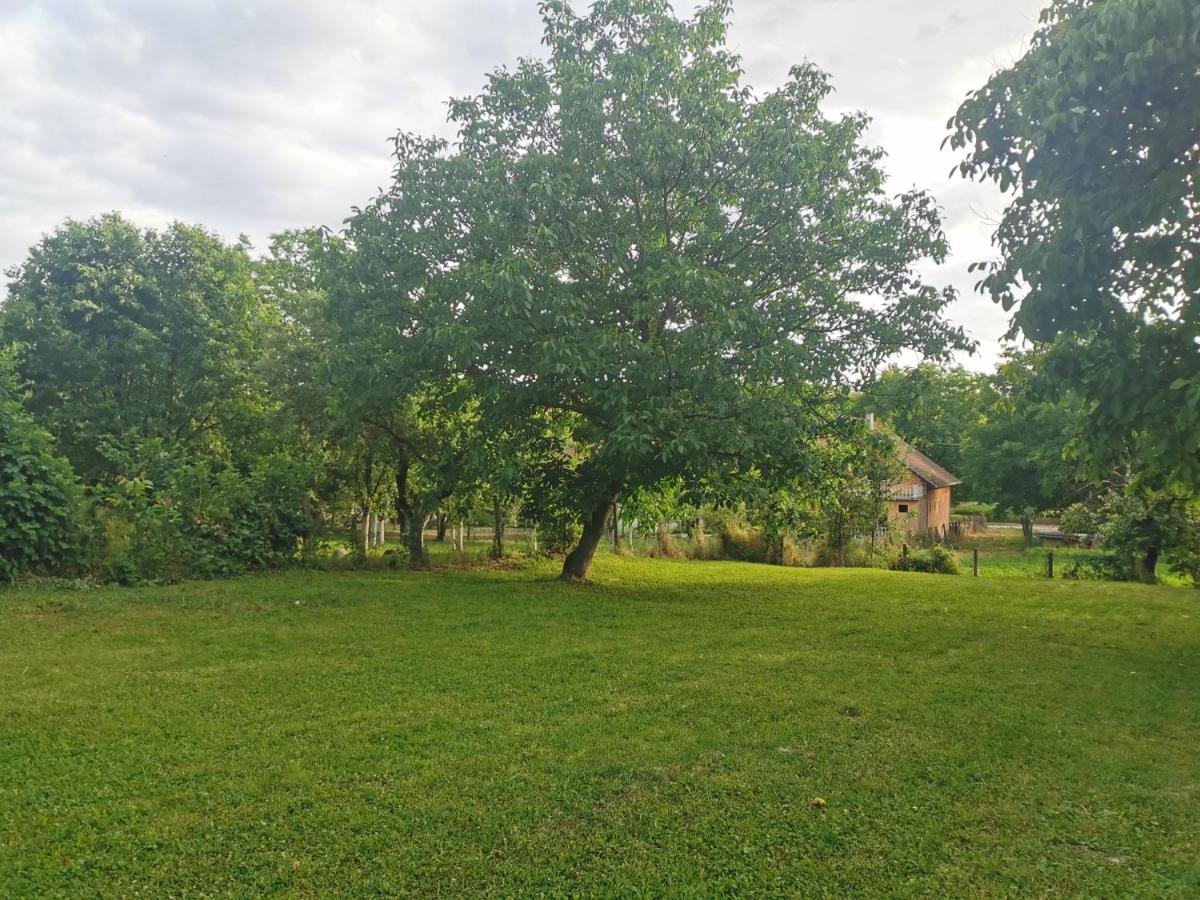 Apartmani La Grande Motte - Housity