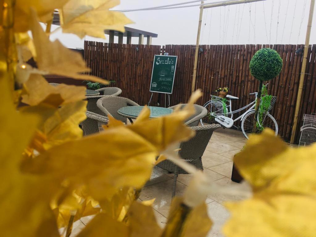 Hotel Pearl Wood - Housity