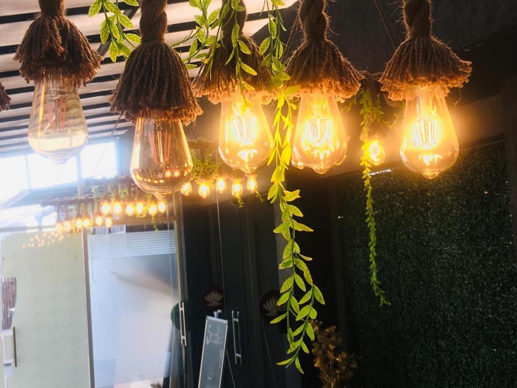 Hotel Pearl Wood - Housity