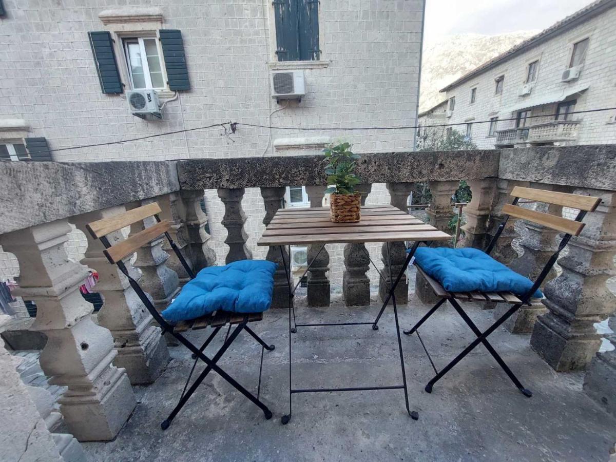 Apartments Jelena - Housity