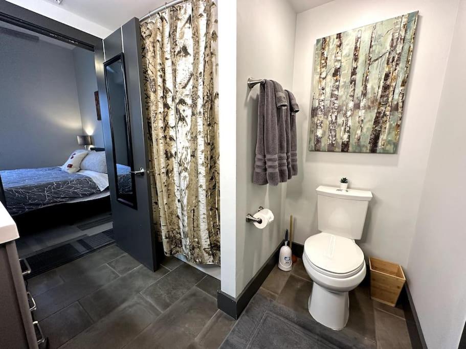 Trendy Downtown Apartments - Housity