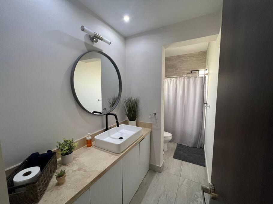 Consulado Home - Housity
