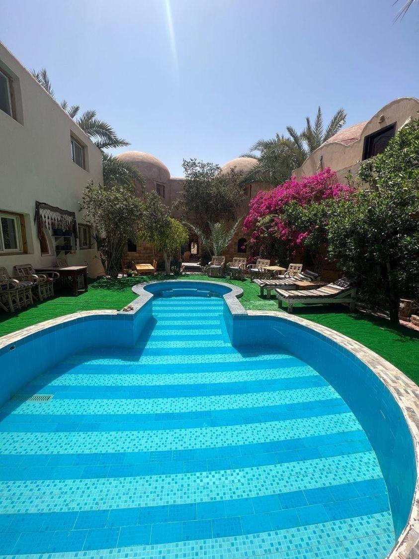 Dream Lodge Siwa - Housity