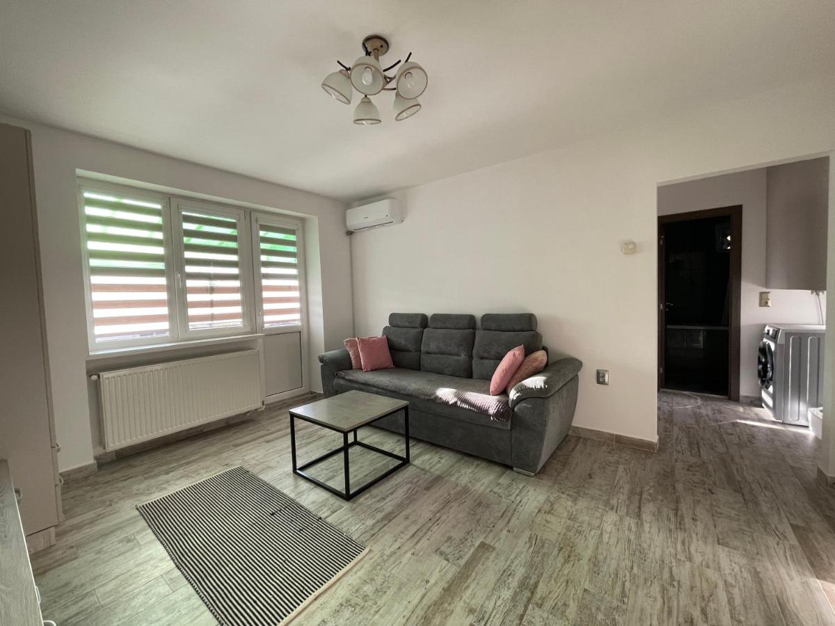Tei Apartment - Lucian Blaga - Housity