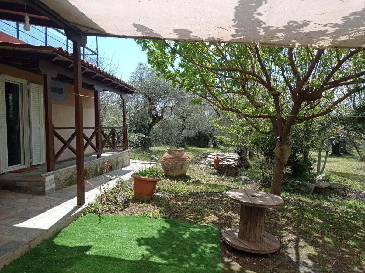 Κτήμα Παπαδημητρίου, Papadimitriou retreat - Housity