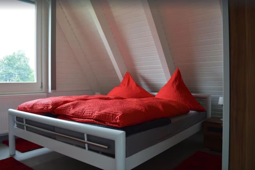Ferienhaus in Waldkatzenbach modern & renoviert - Housity