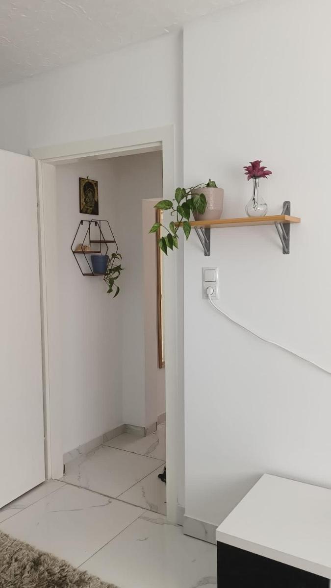 lovely house for relaxing trips - Housity