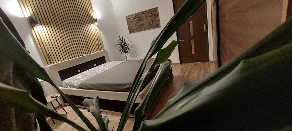 Art House - Housity