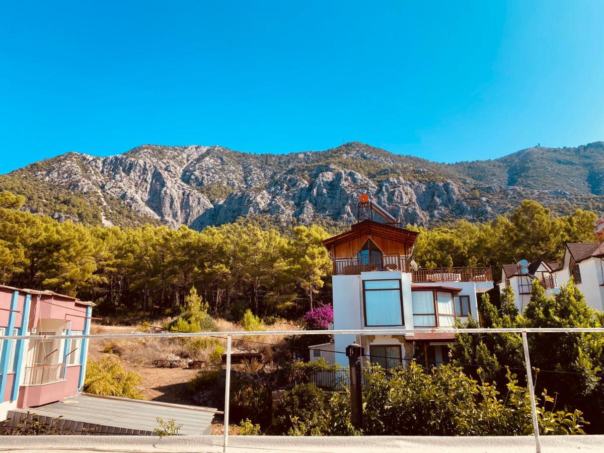 Gelidonya Pansiyon - Housity
