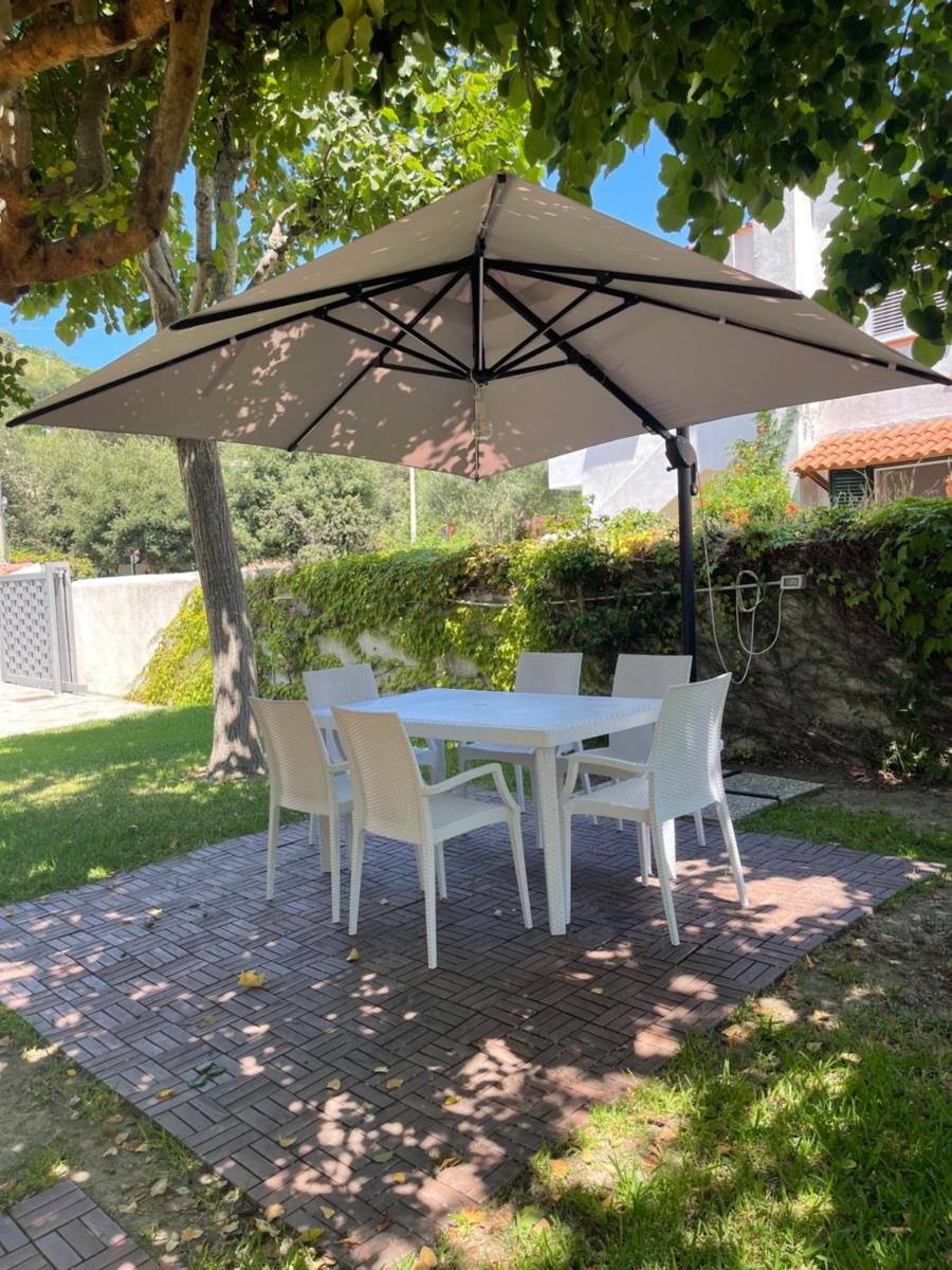 Villa Cycas - Housity