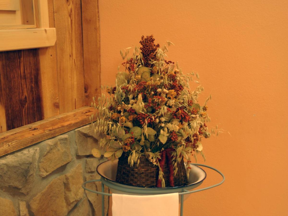 Hotel Pensione Dolomiti - Housity