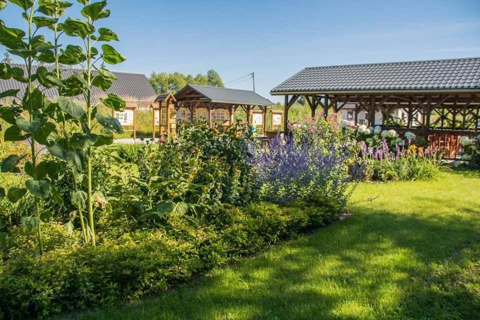 Gościniec Polna Pszczoła - Housity