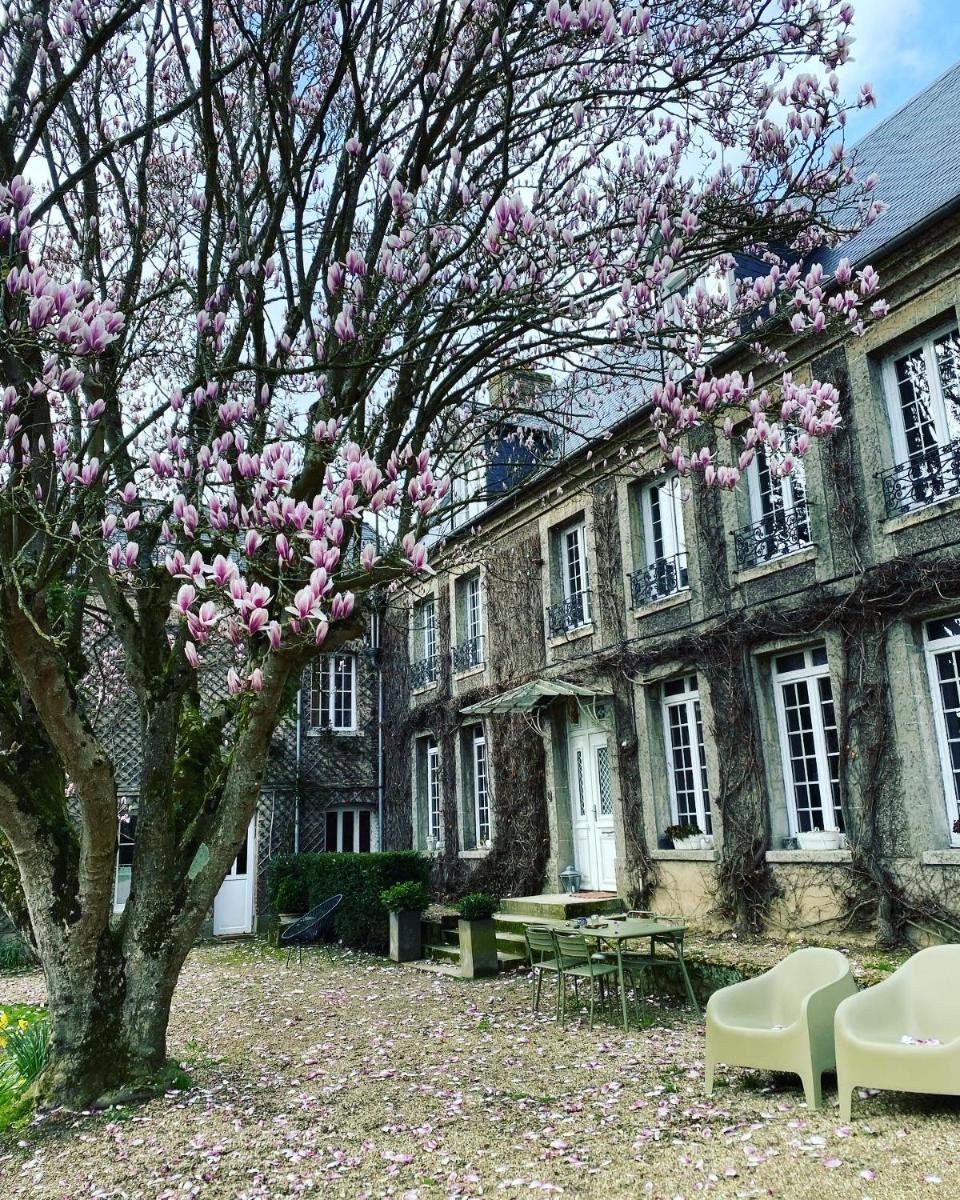 La benjamine - Housity