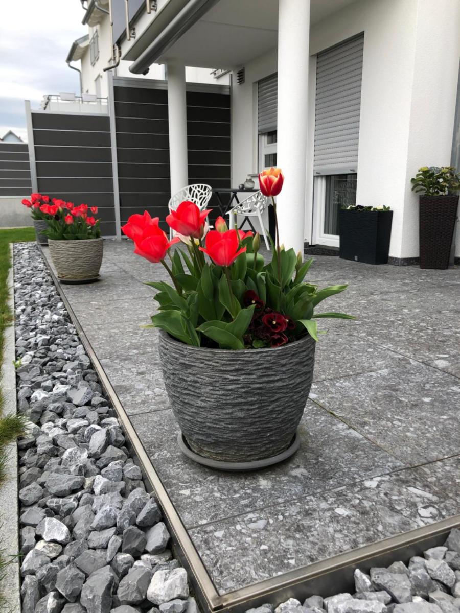 Ferienwohnung Lis - Housity