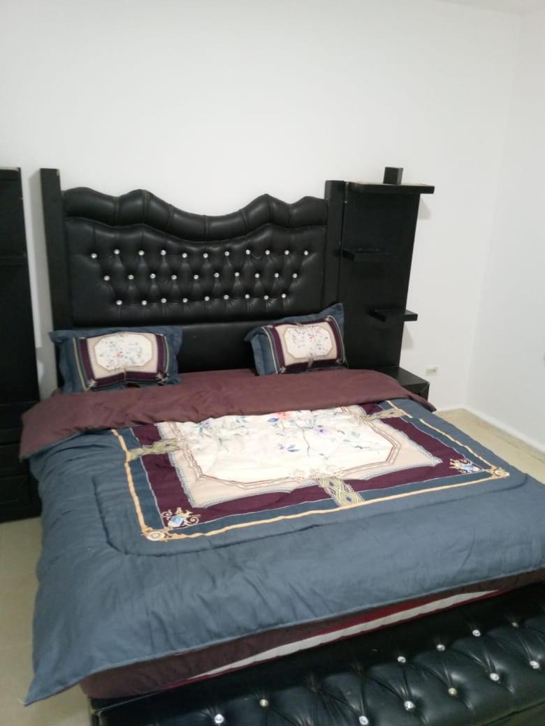 Petra Rose Apartments - Housity