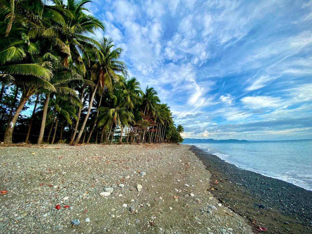 Villa Eliza Ecofarm - Housity