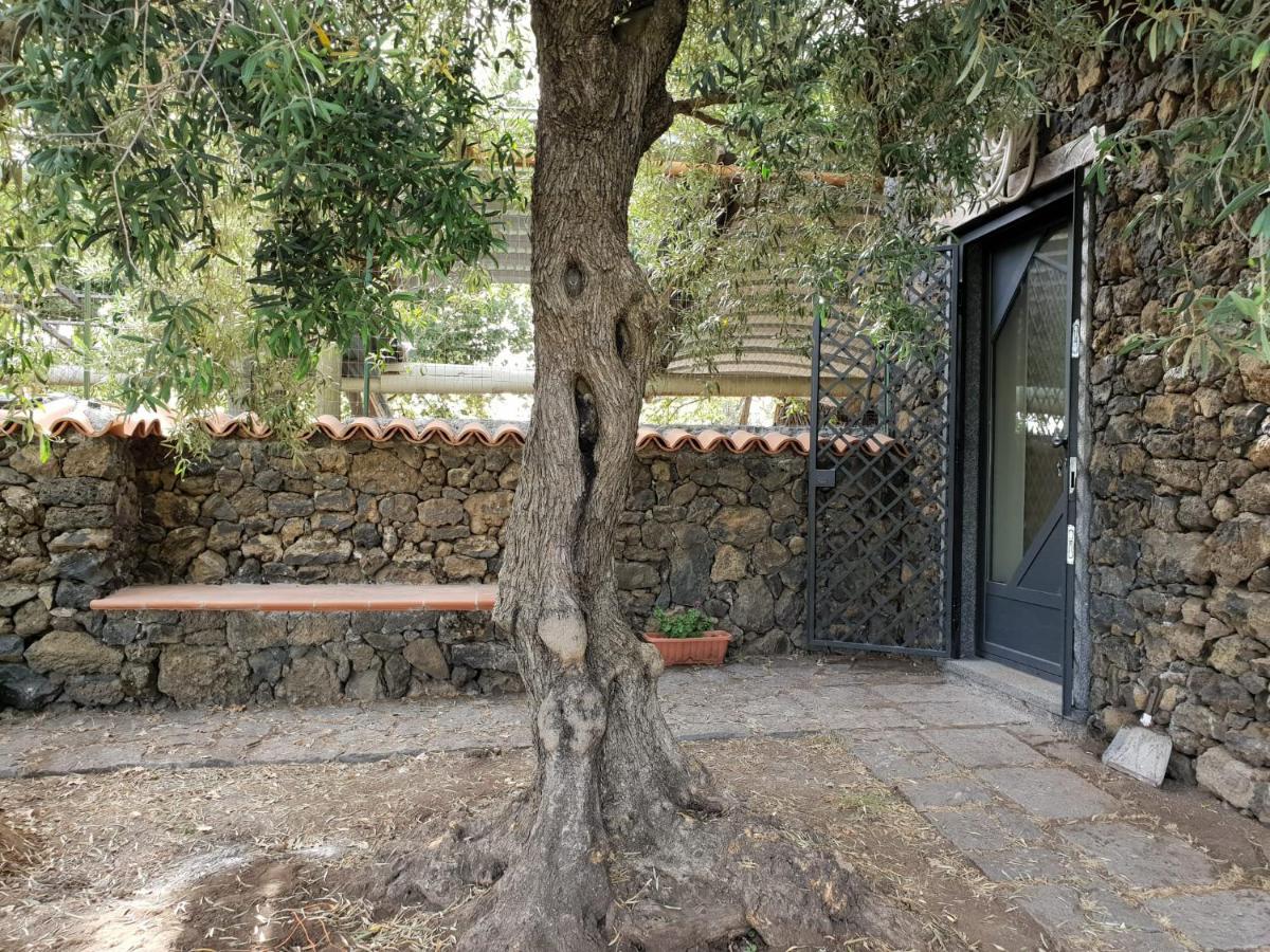 Alle pendici dell'Etna - Housity