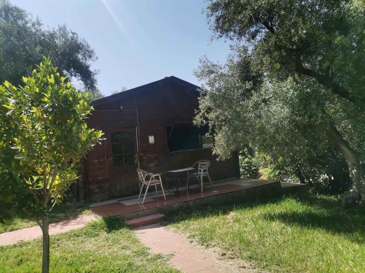 Auberge Ramz's - Housity
