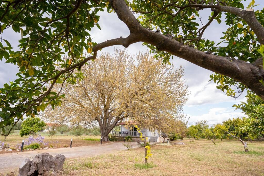 Velika sea & river cottage - Housity
