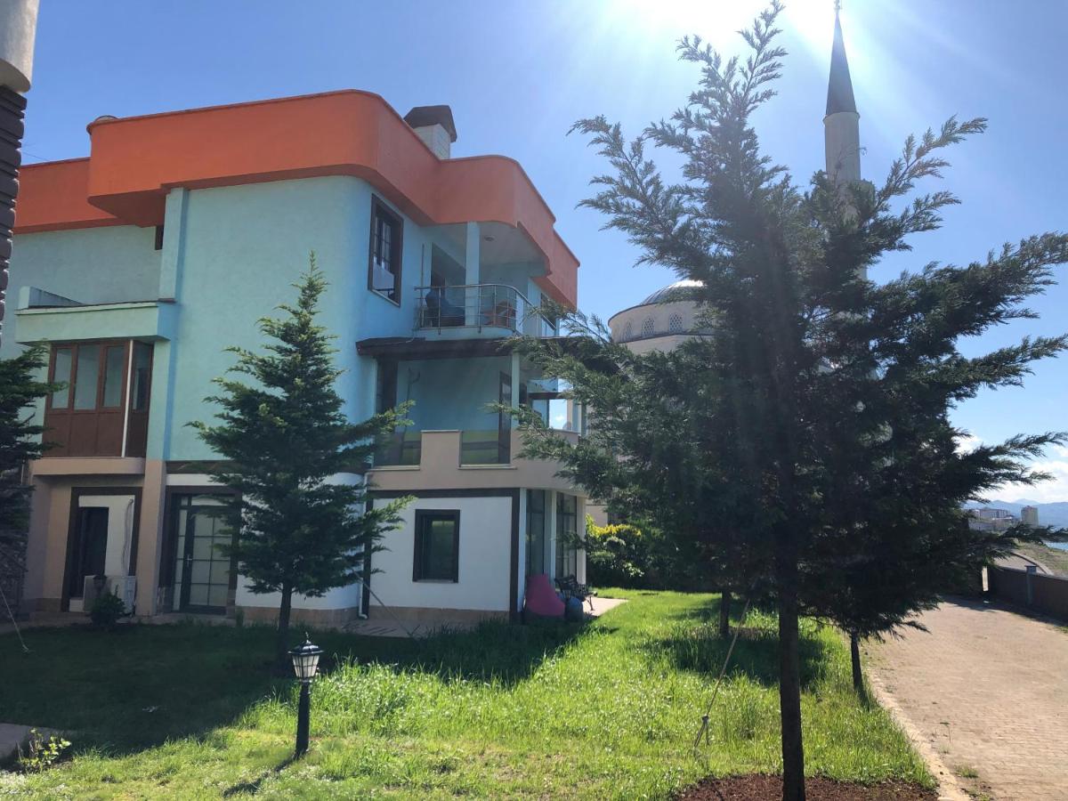 seyran 3 - Hizvo
